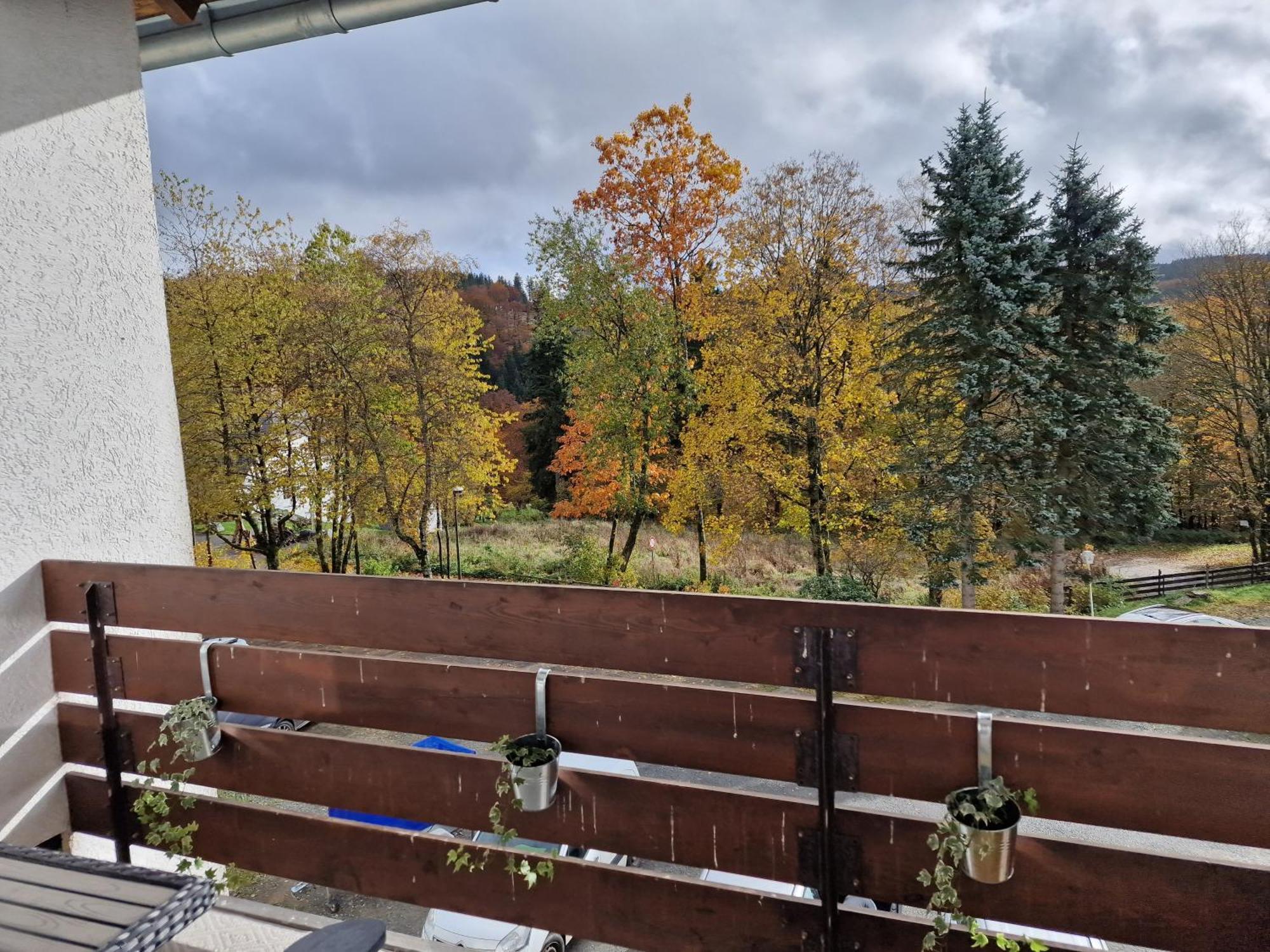 Sonnenhang Apartment Medebach Zewnętrze zdjęcie